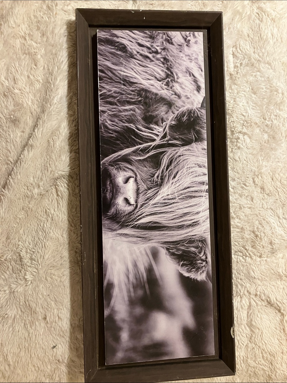 Framed Highland Cow Black and White Wall Art Print